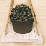 植物ハンギングを作る_アイキャッチ